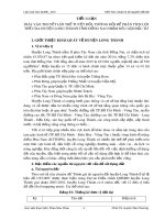 Tiểu luận: Dựa vào thuyết lợi thế tuyệt đối, tương đối để phân tích lợi thế của huyện Long Thành tỉnh Đồng Nai nhằm kêu gọi đầu tư