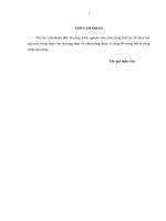 luận văn thạc sĩ quản lý nhà nước về đầu tư xây dựng cơ bản từ nguồn vốn ngân sách tại huyện KB tỉnh hà nam 