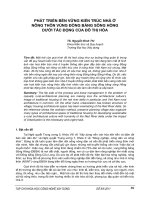 Phát triển bền vững kiến trúc nhà ở nông thôn vùng Đồng bằng sông Hồng dưới tác động của đô thị hóa