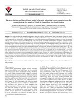 Facies evolution and depositional model of an arid microtidal coast: example from the coastal plain at the mouth of Wadi Al-Hamd, Red Sea, Saudi Arabia