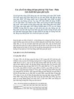 Các yếu tố tác động tới lạm phát tại Việt Nam - Phân tích chuỗi thời gian phi tuyến