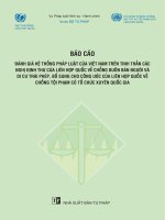 Báo cáo: Đánh giá hệ thống pháp luật của Việt Nam trên tinh thần các Nghị định thư của Liên hợp quốc về chống buôn bán người và di cư trái phép, bổ sung cho công ước của Liên hợp quốc về