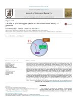 The role of reactive oxygen species in the antimicrobial activity of pyochelin