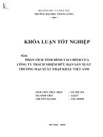 Khóa luận tốt nghiệp: Phân tích tình hình tài chính của Công ty Trách nhiệm hữu hạn Sản xuất Thương mại Xuất nhập khẩu Việt Anh
