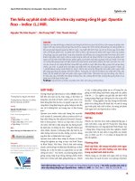 Tìm hiểu sự phát sinh chồi in vitro cây xương rồng lê gai Opuntia ficus – indica (L.) Mill