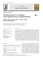 Functional analysis of recombinant codon-optimized bovine neutrophil b-defensin