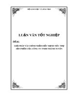 Luận văn tốt nghiệp: Giải pháp tài chính nhằm đẩy mạnh tiêu thụ sản phẩm của Công ty TNHH Thành Tuyên