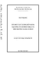 Tổ chức lực lượng bán hàng tại công ty cổ phần nhựa và môi trường xanh An Phát