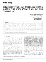 Hiệu quả xử lý nước mặt ô nhiễm hữu cơ bằng phương pháp keo tụ kết hợp than hoạt tính và màng lọc