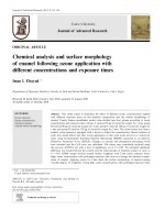 Chemical analysis and surface morphology of enamel following ozone application with different concentrations and exposure times