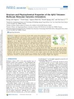 Structure and physicochemical properties of the Aβ42 tetramer: Multiscale molecular dynamics simulations