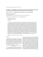 Nghiên cứu ảnh hưởng của một số yếu tố đến quá trình lên men rượu của chủng Saccharomyces cerevisiae MS42 từ malt đại mạch