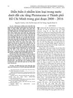 Diễn biến ô nhiễm kim loại trong nước dưới đất các tầng Pleistocene ở Thành phố Hồ Chí Minh trong giai đoạn 2000-2016