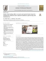 Study of the feeding effect on recent and ancient bovine bones by nanoparticle-enhanced laser-induced breakdown spectroscopy and chemometrics