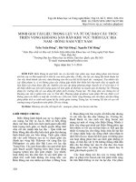 Minh giải tài liệu trọng lực và từ dự báo cấu trúc triển vọng khoáng sản rắn khu vực thềm lục địa Nam - Đông Nam Việt Nam