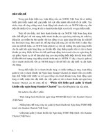 Đề tài: Phân tích hiệu quả quản lý thanh khoản của Ngân hàng Standart Charted