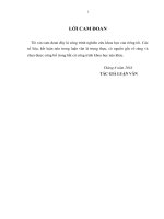 luận văn thạc sĩ QUẢN TRỊ MARKETING MIX CỦA CÔNG TY TRÁCH NHIỆM HỮU HẠN NHÀ THÉP TIỀN CHẾ ZAMILSTEEL VIỆT NAM