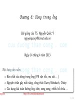 Bài giảng Cơ lưu chất: Chương 6 - TS. Nguyễn Quốc Ý