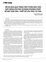Tối ưu hóa quá trình thủy phân bùn thải giấy bằng enzyme sử dụng phương pháp bề mặt đáp ứng – thiết kế cấu trúc có tâm