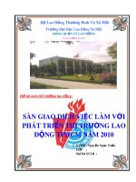 Tiểu luận môn Thị trường lao động: Sàn giao dịch việc làm với phát triển thị trường lao động TPHCM năm 2010