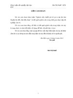 Khóa luận tốt nghiệp: Nghiên cứu chuỗi giá trị gà ta tại địa bàn Huyện Ba Bể, tỉnh Bắc Kạn