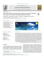 Concerted catalytic and photocatalytic degradation of organic pollutants over CuS/g-C3N4 catalysts under light and dark conditions