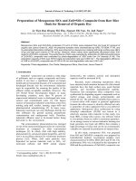 Preparation of mesoporous SiO2 and ZnO•SiO2 composite from raw rice husk for removal of organic dye