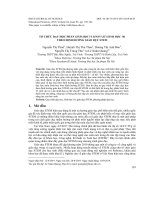 Tổ chức dạy học phần sinh học vi sinh vật (sinh học 10) theo định hướng giáo dục STEM