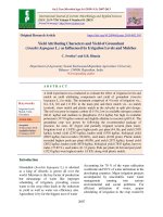 Yield attributing characters and yield of groundnut (Arachis hypogaea L.) as influenced by irrigation levels and mulches
