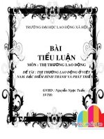 Bài tiểu luận môn Thị trường lao động: Thị trường lao động Việt Nam - Đặc điểm hình thành và phát triển