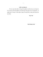 luận văn thạc sĩ giải pháp triển khai chính sách marketing nhằm phát triển thị trường của tổng công ty bia  rượu  nước giải khát sài gòn (SABECO) trên thị trường miền bắc 