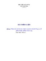 Bài thảo luận: Phân tích chỉ tiêu tài chính và phi tài chính Công ty cổ phần Dược phẩm Cửu Long