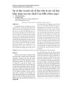 Sự cô lập và nuôi cấy tế bào trần từ các vật liệu khác nhau của cây chuối Cau Mẵn (Musa spp.)