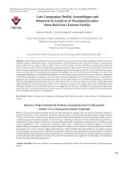 Late campanian rudist assemblages and biometrical analysis of Pseudopolyconites from Bačevica (Eastern Serbia)