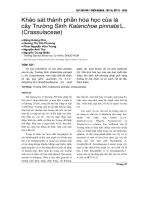 Khảo sát thành phần hóa học của lá cây Trường Sinh Kalanchoe pinnata L. (Crassulaceae)