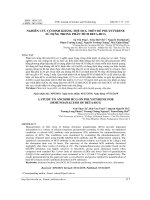 Nghiên cứu cố định kháng thể hCG trên đế polystyrene sử dụng trong phân tích beta-hCG