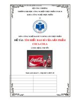 Đề tài: Tìm hiểu về bao bì của sản phẩm Coca-Cola