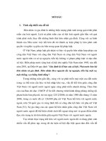 Pháp luật về kết hôn có yếu tố nước ngoài tại việt nam   thực trạng và giải pháp 