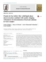 Pseudo-stir bar hollow fiber solid/liquid phase microextraction combined with anodic stripping voltammetry for determination of lead and cadmium in water samples