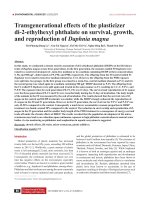 Transgenerational effects of the plasticizer di-2-ethylhexyl phthalate on survival, growth, and reproduction of Daphnia magna