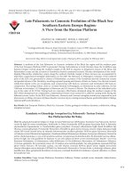 Late palaeozoic to cenozoic evolution of the Black SeaSouthern Eastern Europe region: A view from the Russian platform