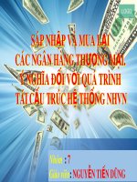 Bài thuyết trình: Sáp nhập và mua lại các ngân hàng thương mại. Ý nghĩa đối với quá trình tái cấu trúc hệ thống ngân hàng Việt Nam