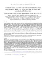 Ảnh hưởng của hạt cốt liệu nhẹ tái chế từ phế thải phá dỡ công trình xây dựng đến một số tính chất cơ lý của bê tông nhẹ