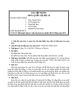 Bài tập nhóm môn Quản trị dự án: Kế hoạch dự án Cuộc thi Pháo hoa Quốc tế Đà Nẵng năm 2013