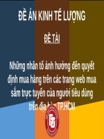 Đề án kinh tế lượng: Những nhân tố ảnh hưởng đến quyết định mua hàng trên các trang web mua sắm trực tuyến của người tiêu dùng trên địa bàn TP.HCM