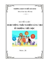 Bài tiểu luận: Hoạt động trải nghiệm sáng tạo ở trường tiểu học