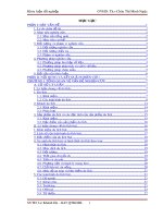 Đề tài: Khảo sát nhu cầu của khách du lịch nội địa về loại hình du lịch bụi tại tỉnh Thừa Thiên Huế