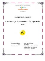 Phân tích chiến lược marketing của Điện Máy Xanh - MWG