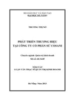 Tóm tắt Luận văn Thạc sĩ Quản trị kinh doanh: Phát triển thương hiệu tại công ty cổ phần sứ Cosani