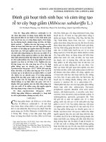 Đánh giá hoạt tính sinh học và cảm ứng tạo rễ tơ cây bụp giấm (Hibiscus sabdariffa L.)